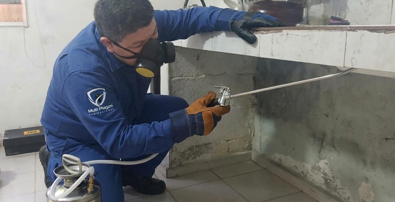 Equipo profesional trabajando en servicio de fumigación y control de plagas